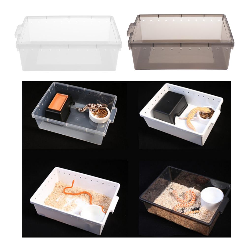 Reptile Box Case for Snake Turtle Breeding Feeding Hatching Container Grey_33x24x10cm