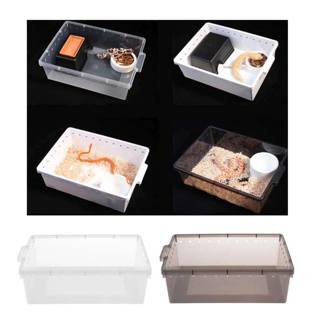 Reptile Box Case for Snake Turtle Breeding Feeding Hatching Container Grey_33x24x10cm