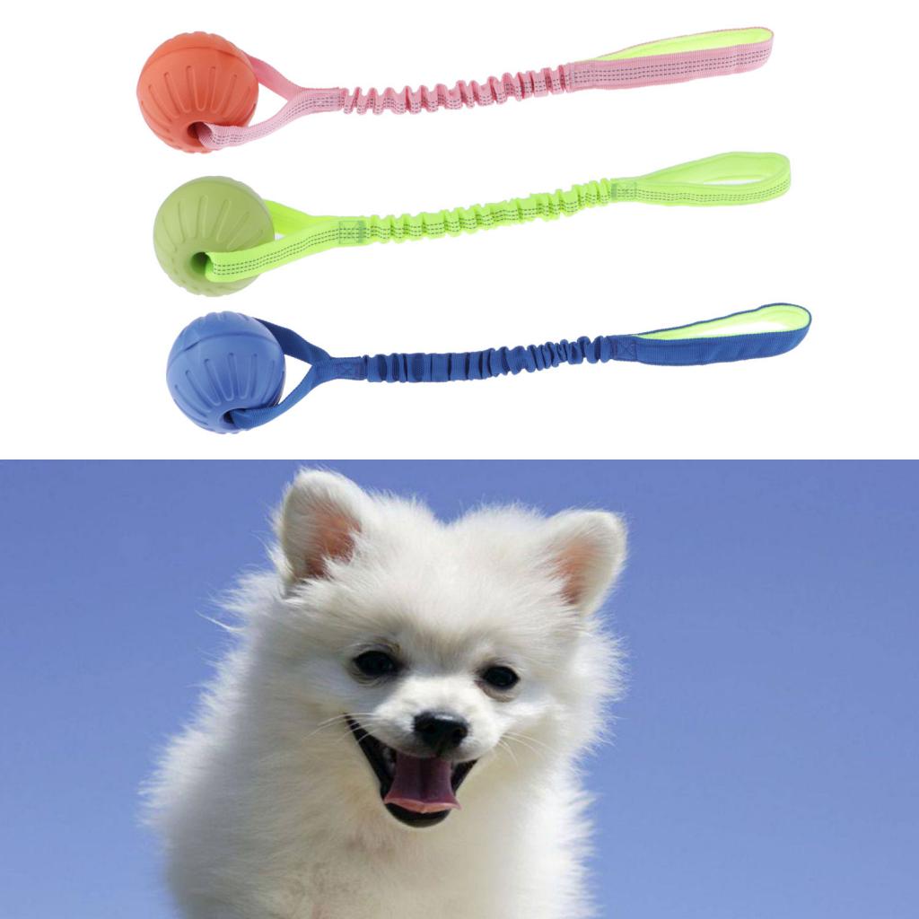 Pet Foam Ball on a Rope Toy Dog Teeth Cleaning Toy for Pet Tranining Orange