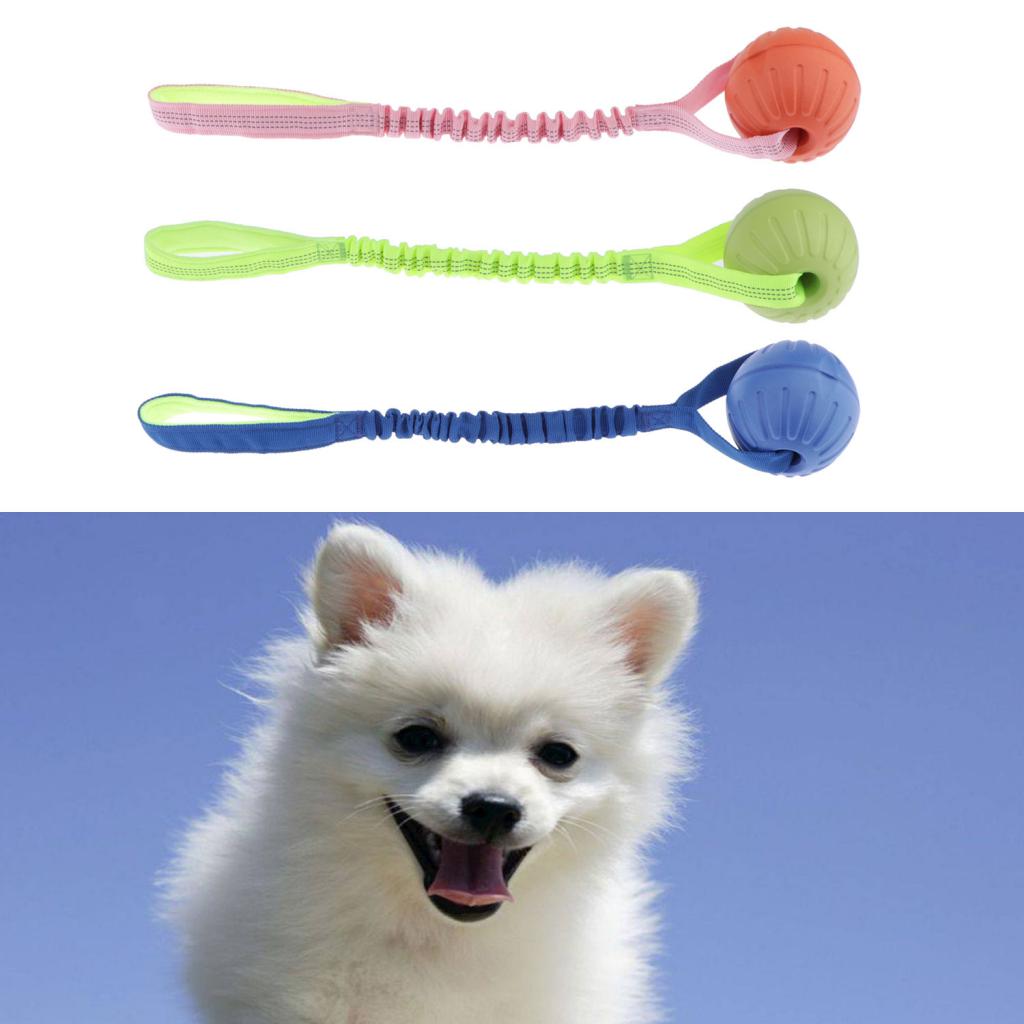 Pet Foam Ball on a Rope Toy Dog Teeth Cleaning Toy for Pet Tranining Orange