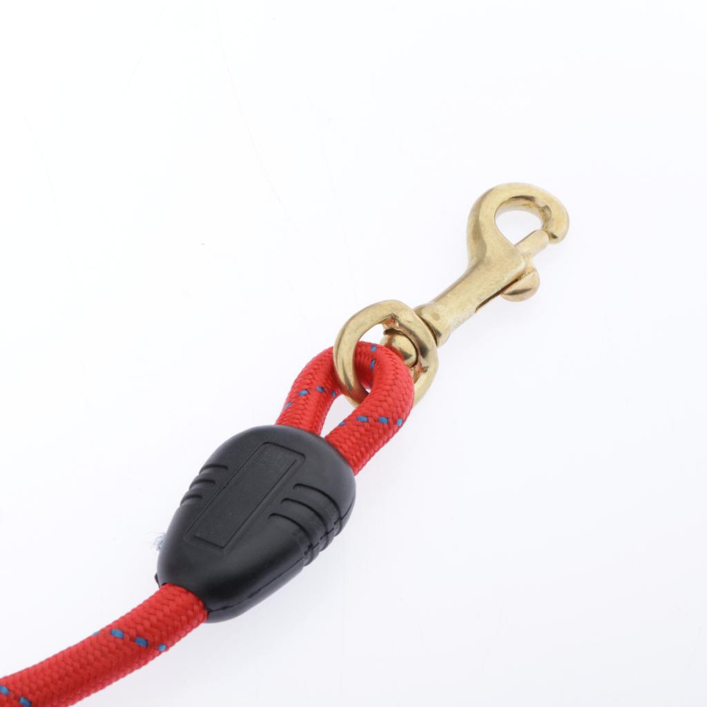 Pet Dog Traction Rope Dog Training Leash for Small to Large Dogs  Red