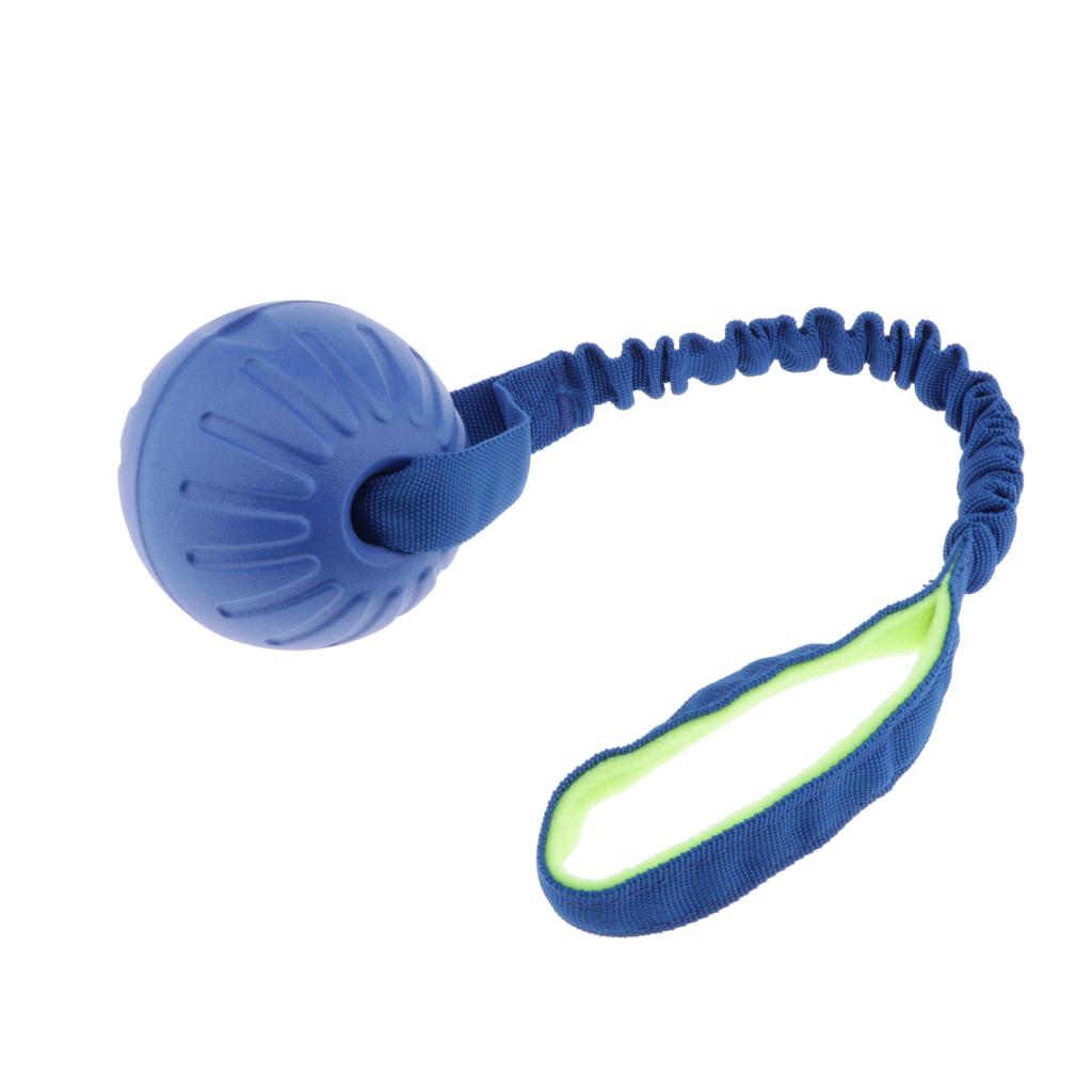 Pet Foam Ball on a Rope Toy Dog Teeth Cleaning Toy for Pet Tranining Blue