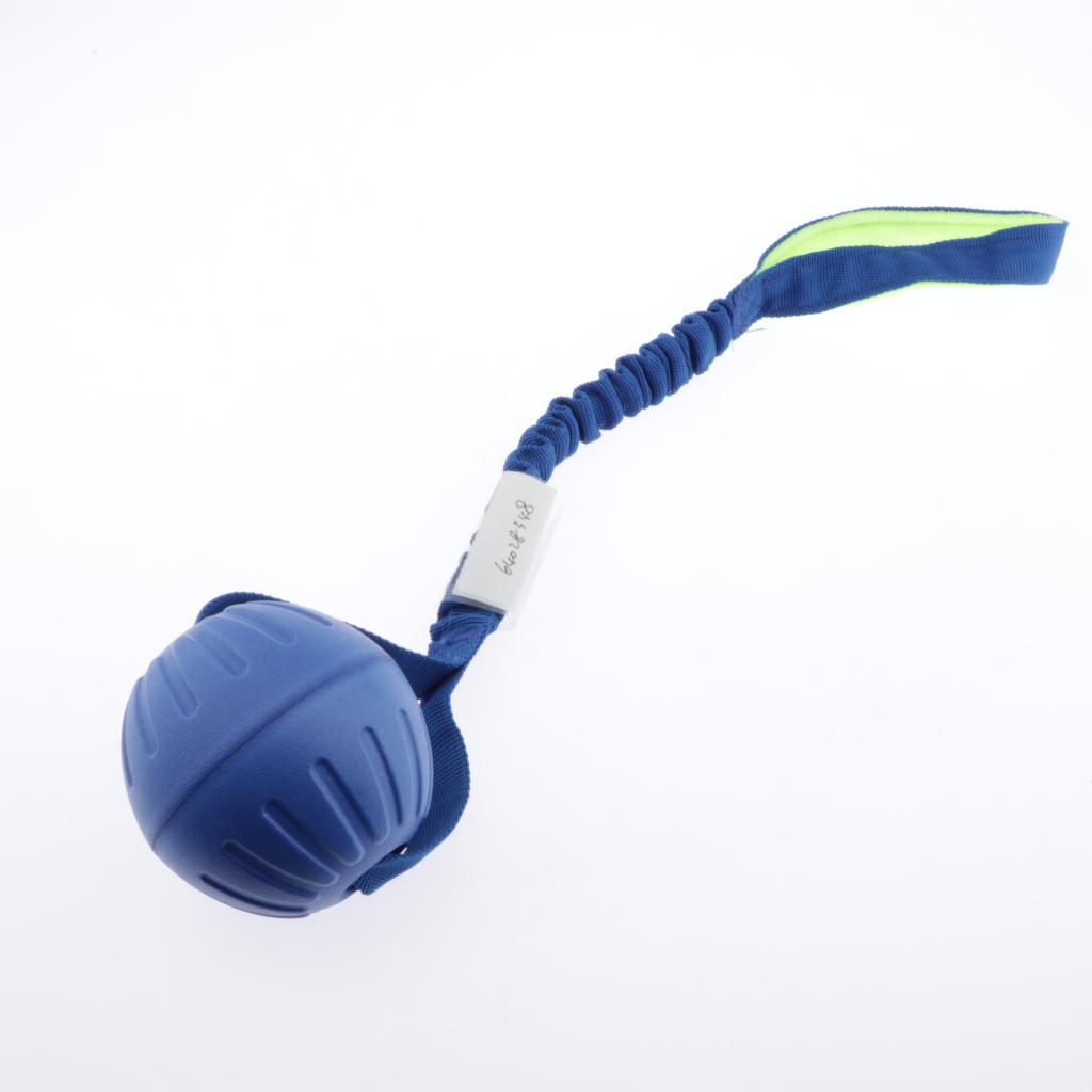 Pet Foam Ball on a Rope Toy Dog Teeth Cleaning Toy for Pet Tranining Blue