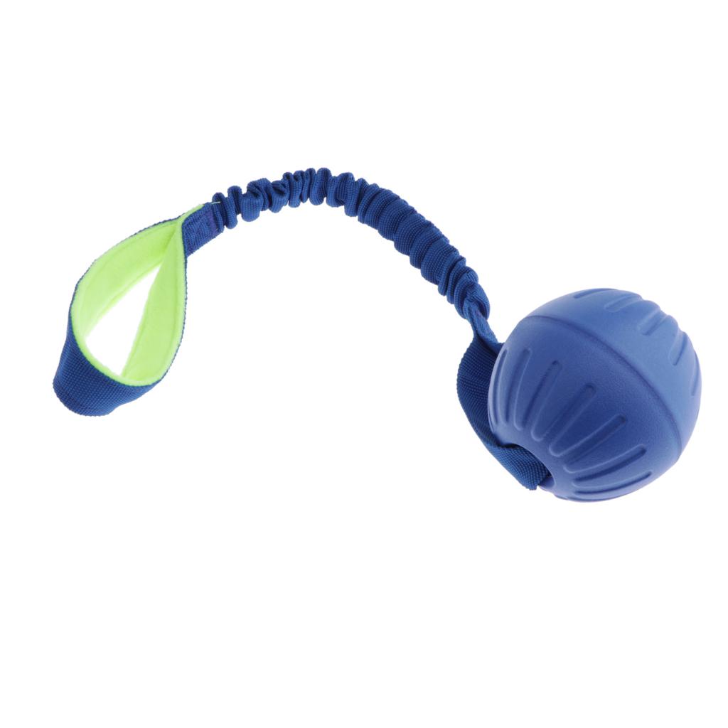 Pet Foam Ball on a Rope Toy Dog Teeth Cleaning Toy for Pet Tranining Blue