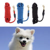 Pet Dog Traction Rope Dog Training Leash for Small to Large Dogs  Blue