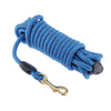 Pet Dog Traction Rope Dog Training Leash for Small to Large Dogs  Blue