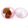 Built-in Plush Toy Dog Cat Automatic Interactive Rolling Ball Toys squirrel