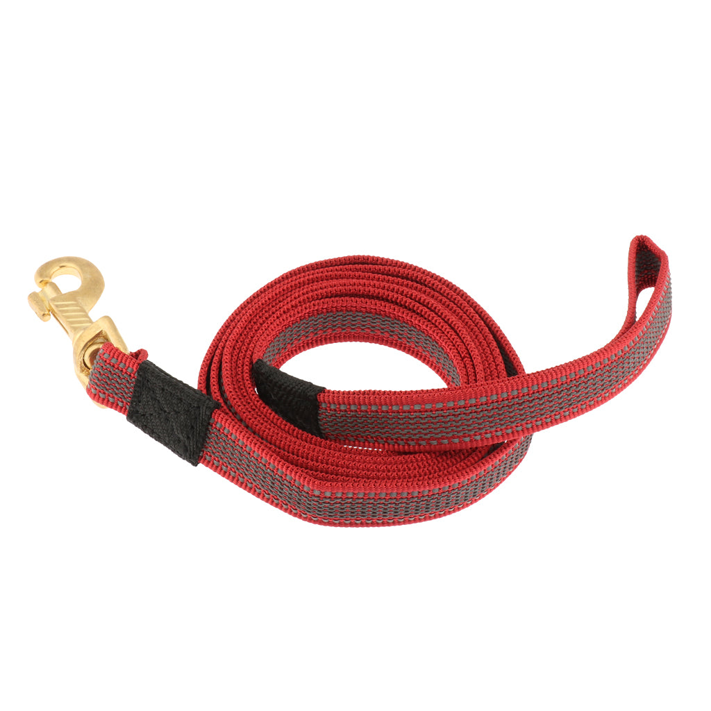 Dog Leash Rope Pet Anti-slip Reflective Traction Walking Rope Red-200x2cm