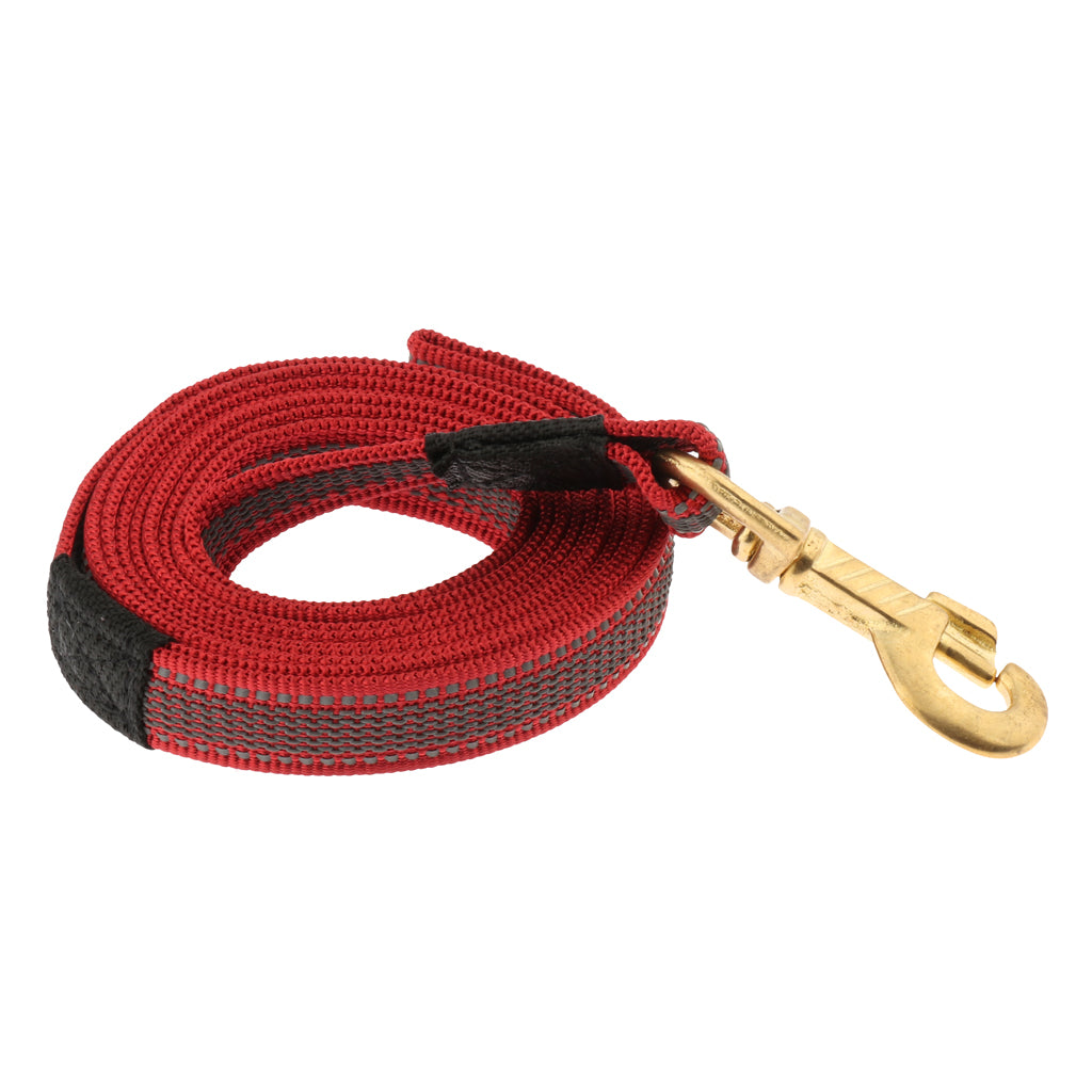 Dog Leash Rope Pet Anti-slip Reflective Traction Walking Rope Red-200x2cm