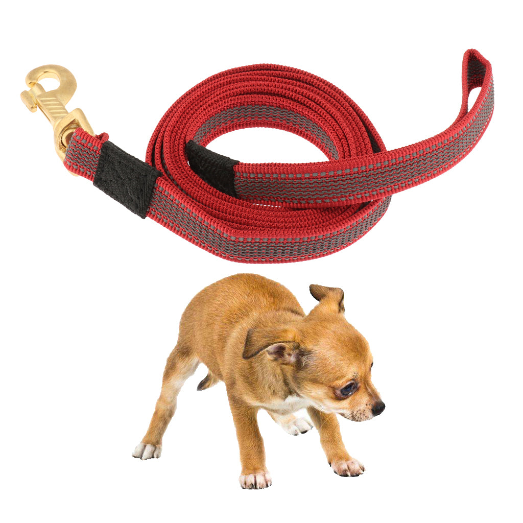 Dog Leash Rope Pet Anti-slip Reflective Traction Walking Rope Red-200x2cm