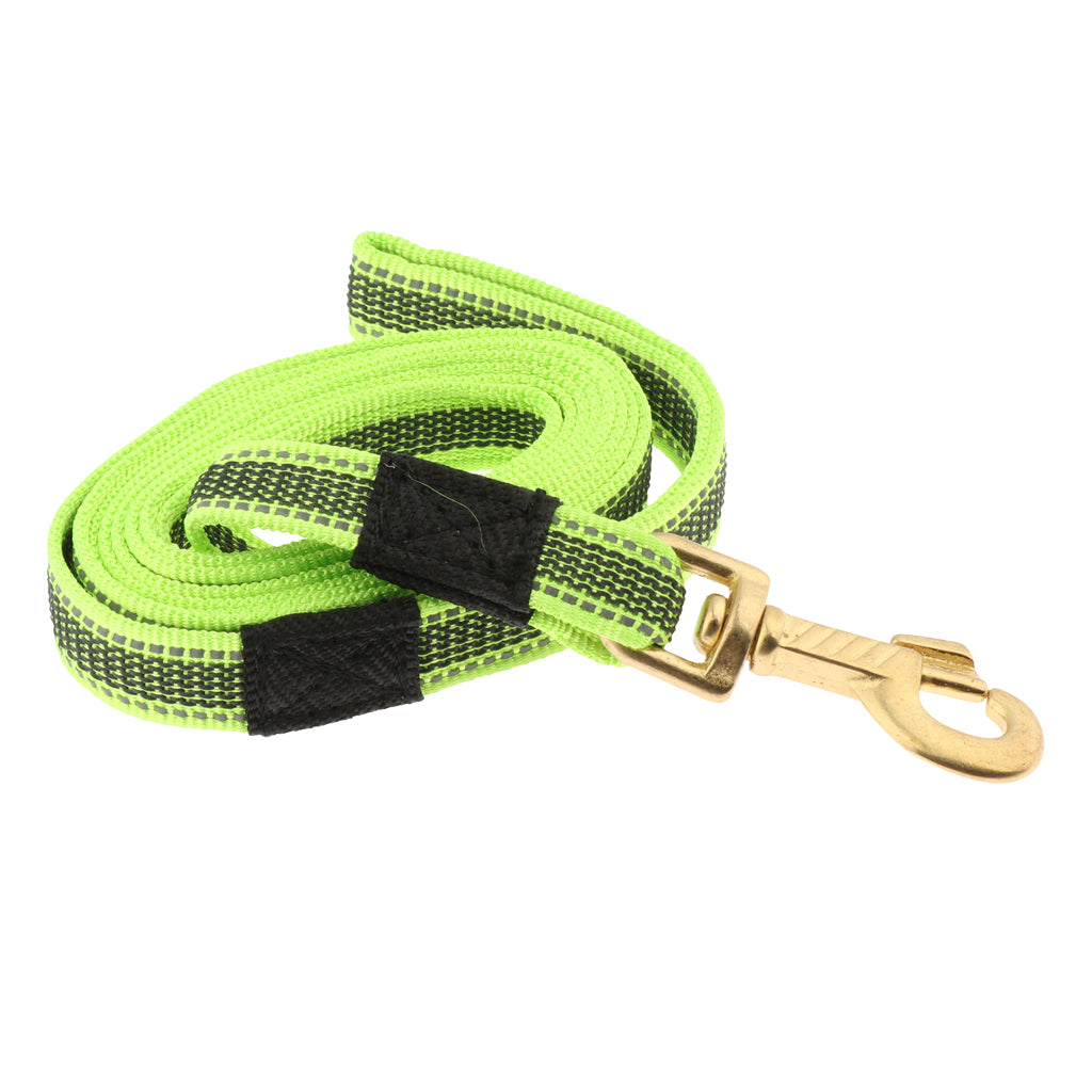 Dog Leash Rope Pet Anti-slip Reflective Traction Walking Rope Green-200x2cm