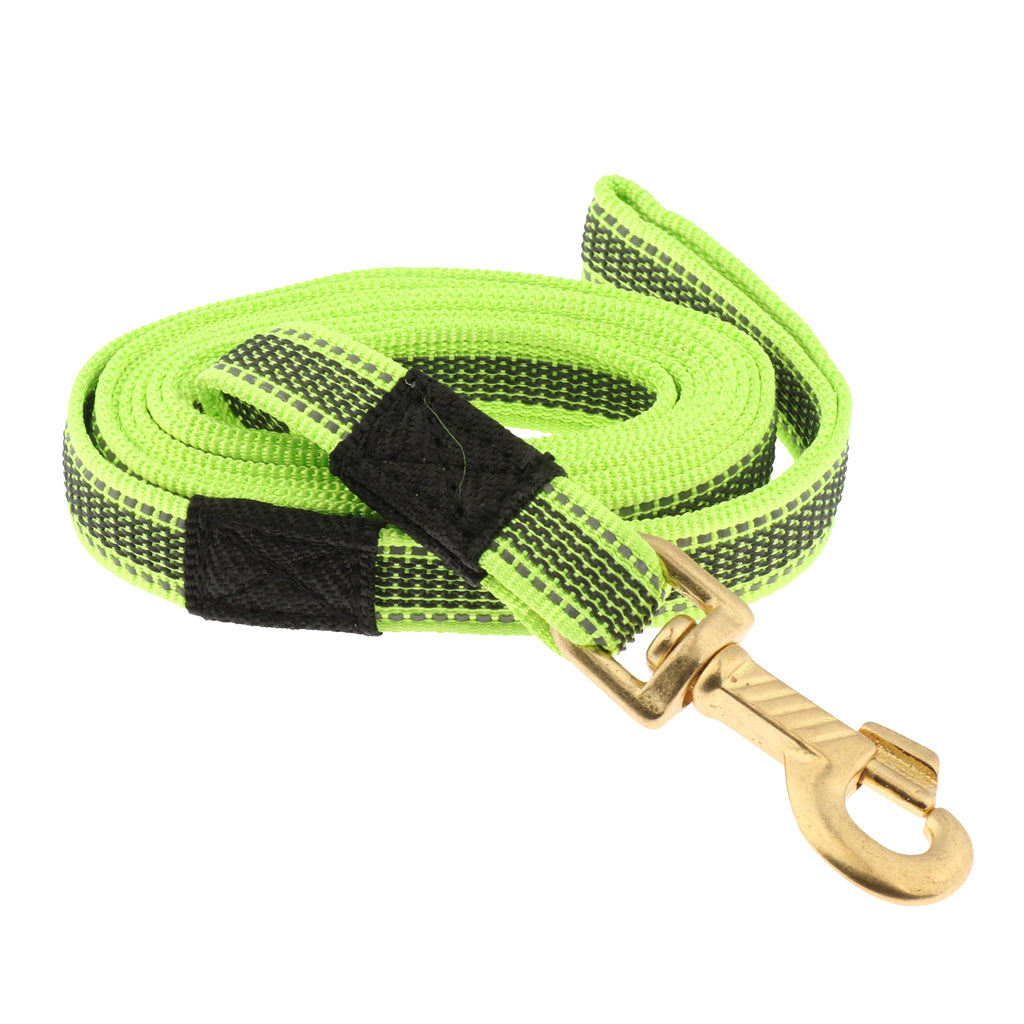 Dog Leash Rope Pet Anti-slip Reflective Traction Walking Rope Green-200x2cm