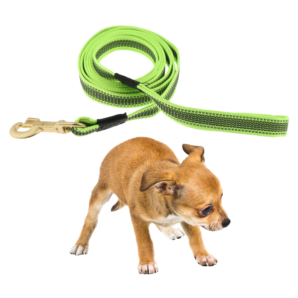 Dog Leash Rope Pet Anti-slip Reflective Traction Walking Rope Green-200x2cm