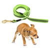 Dog Leash Rope Pet Anti-slip Reflective Traction Walking Rope Green-200x2cm