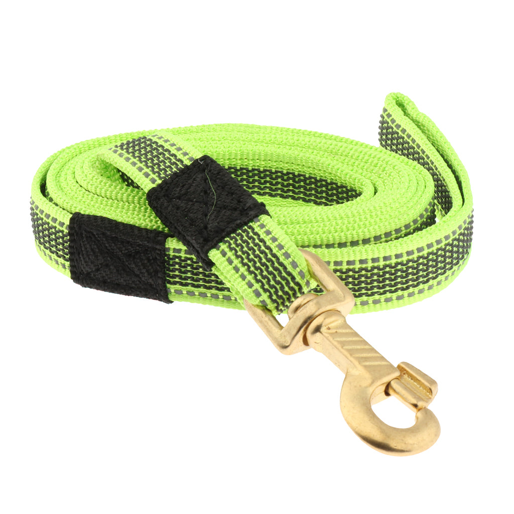 Dog Leash Rope Pet Anti-slip Reflective Traction Walking Rope Green-200x2cm