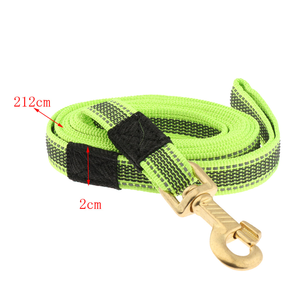 Dog Leash Rope Pet Anti-slip Reflective Traction Walking Rope Green-200x2cm