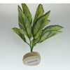 Artificial Aquatic Plant for Aquarium Fish Tank Landscape Decoration 4