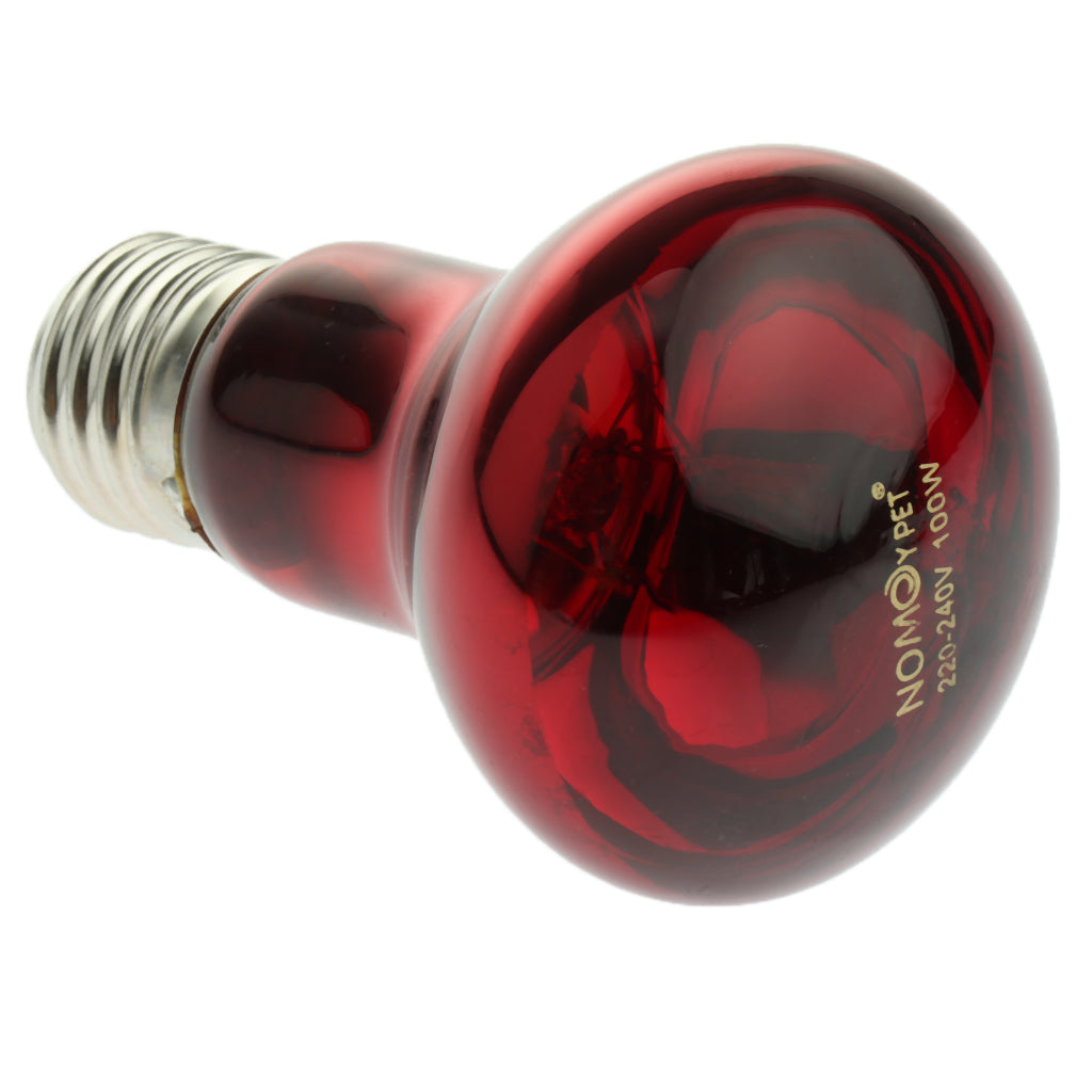 Glass Pet Heating Infrared Lamp Winter Heat Emitter Lamp Bulb E27 Red 100W