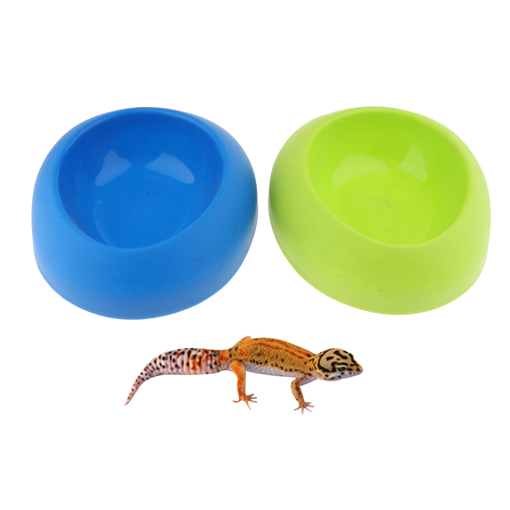 Snakes Hiding Cave Water Feeding Container for  Repetile Green