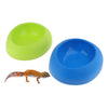 Snakes Hiding Cave Water Feeding Container for  Repetile Green