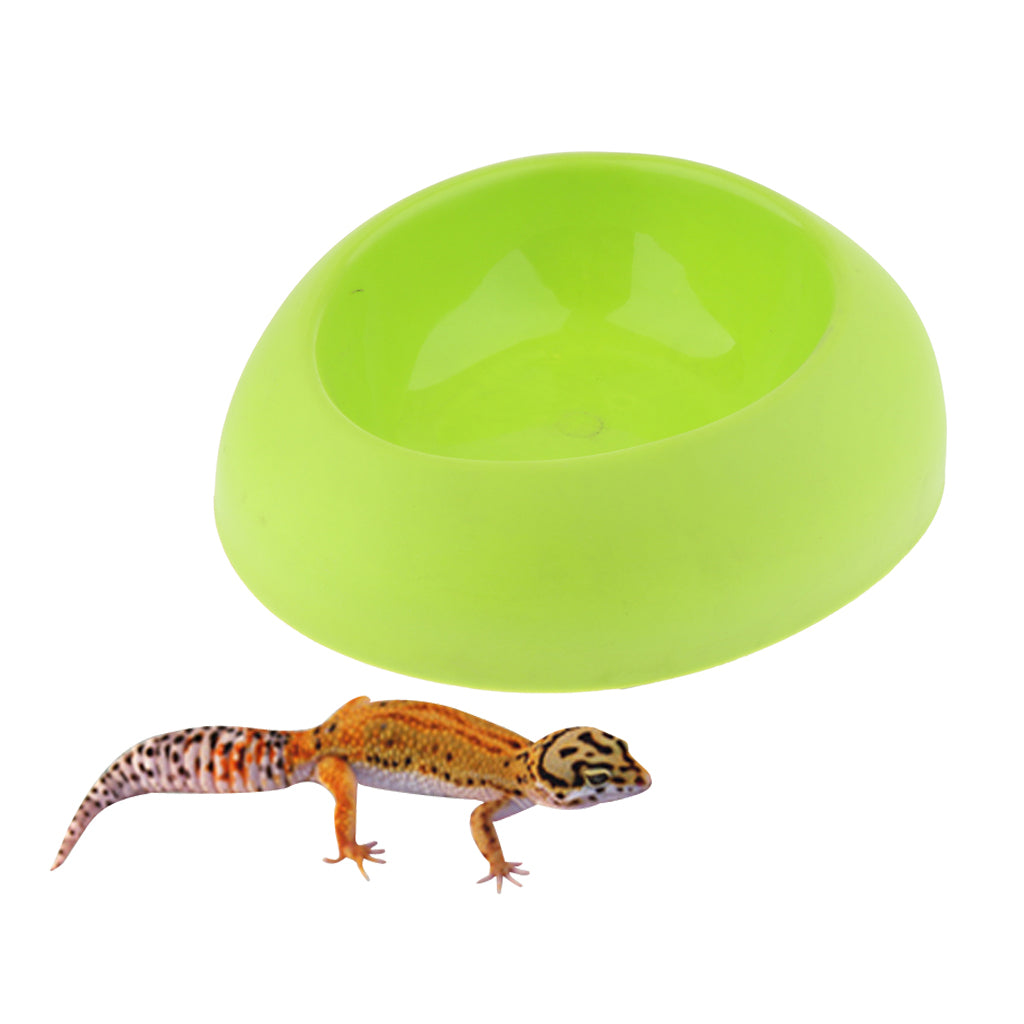 Snakes Hiding Cave Water Feeding Container for  Repetile Green