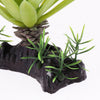 Reptile Aquarium Lifelike Underwater Plant Water Grass Decoration 11.5x17cm