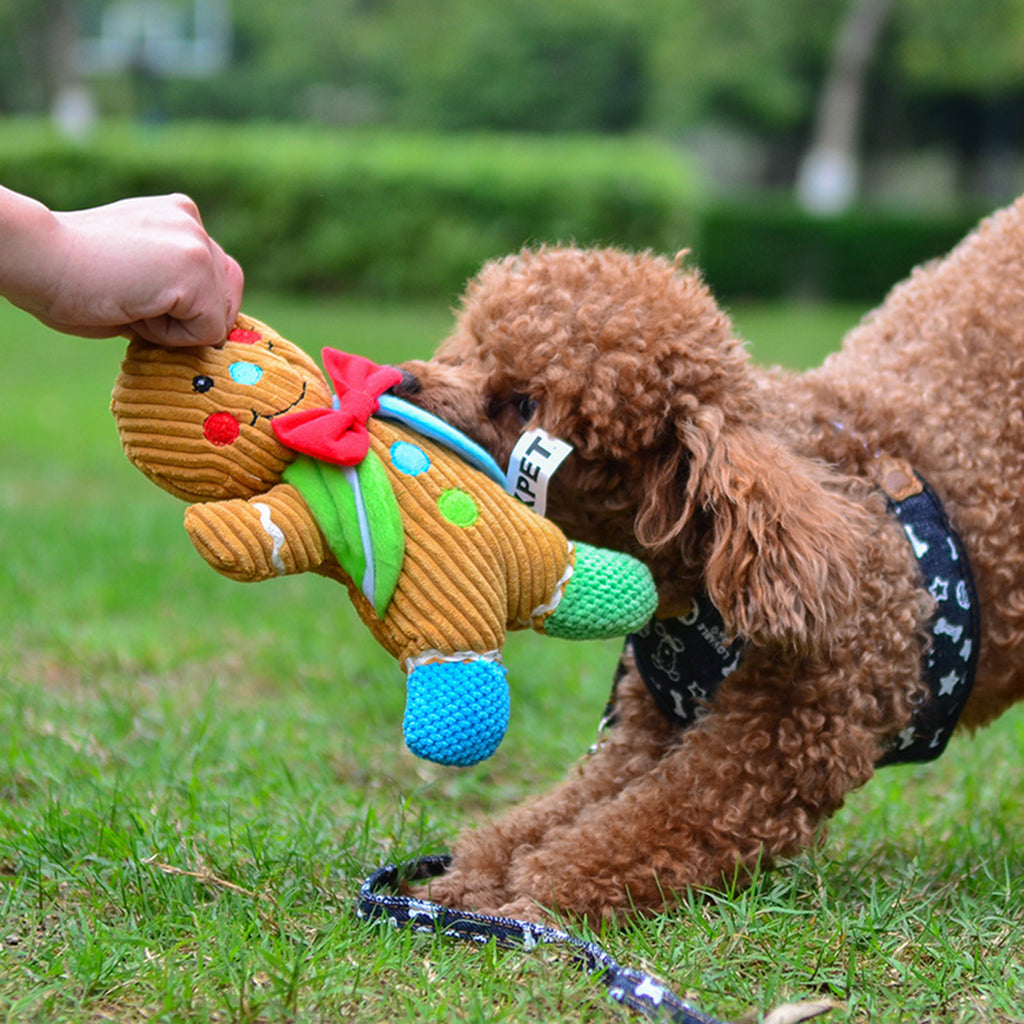 2pcs Pet Dog Toys Plush Chew Toy Squeaky Toys Colorful For Puppy Dog pink