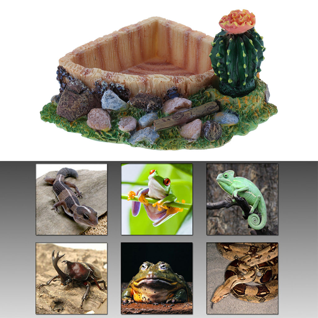 Reptile Lizard Feeding Bowl Food Water Dish Terrarium Drinking Basin 1