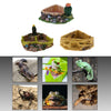 Reptile Lizard Feeding Bowl Food Water Dish Terrarium Drinking Basin 1