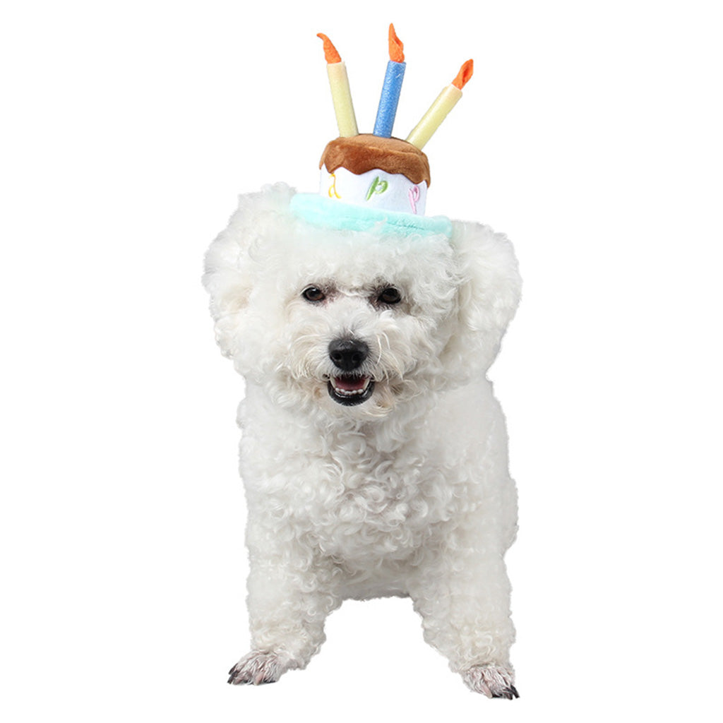 Dog Cat Birthday Hat Cute Lovely Pet Happy Birthday Hat Headwear Party 3