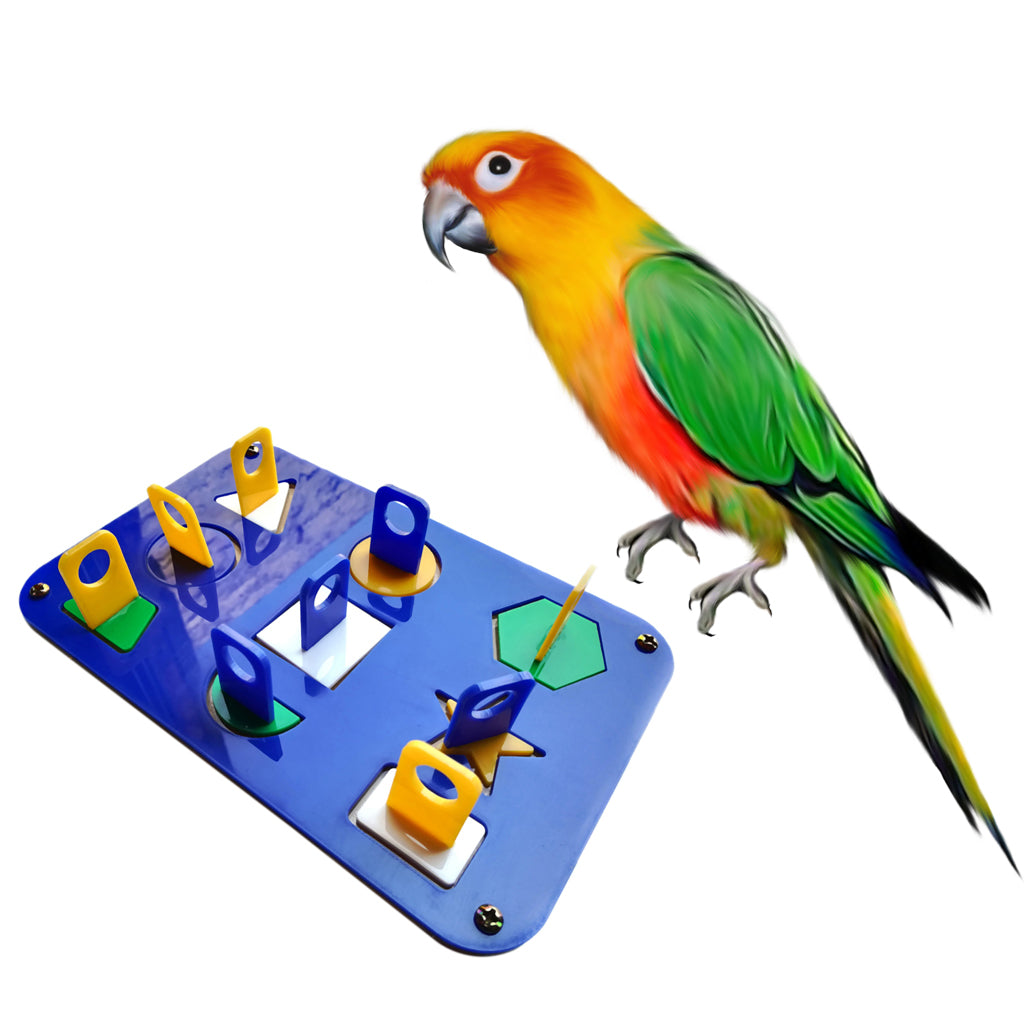 Parrot Intelligence Training Chewing Toy Bird Desktop Interactive Toy