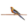 Outdoor Bird Wooden Standing Bar Parrot Toys Perch Chewing Bite Toy  M