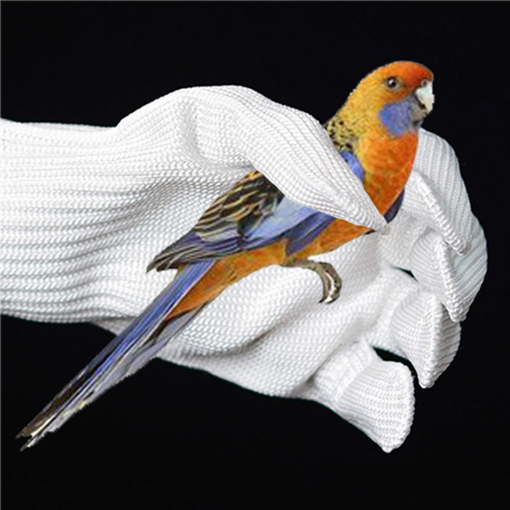 Bird Bite Resistant Gloves Pet Parrots Biting Prevention Tearing Wear Gloves White