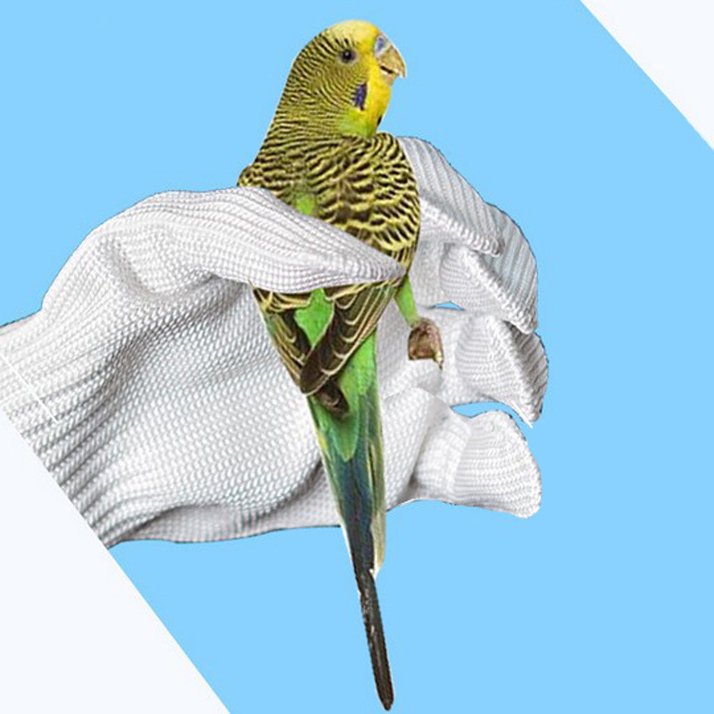 Bird Bite Resistant Gloves Pet Parrots Biting Prevention Tearing Wear Gloves White