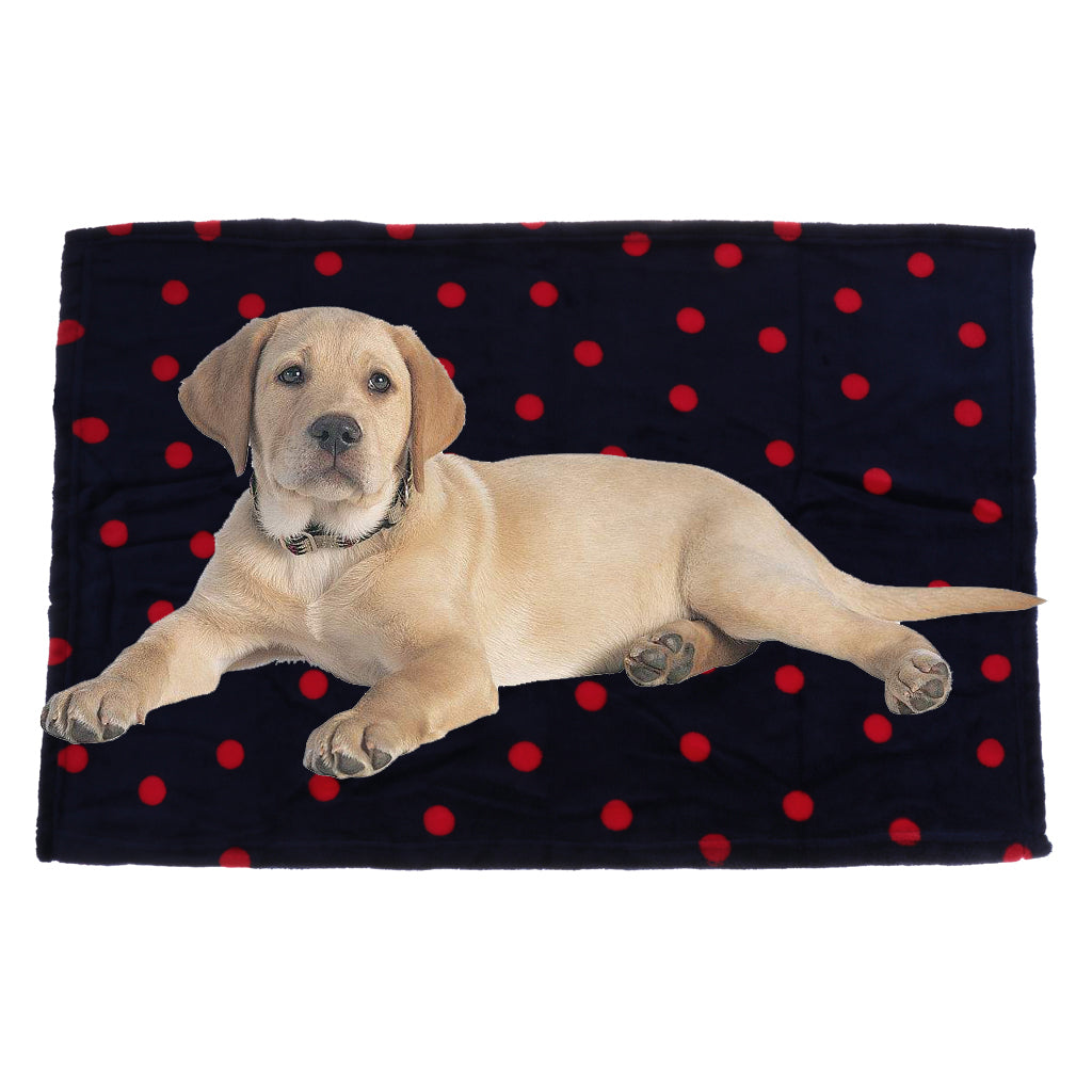 2 Pcs Pet Air Conditioning Blanket Dog Puppy Cushion Sleep Mat Bed