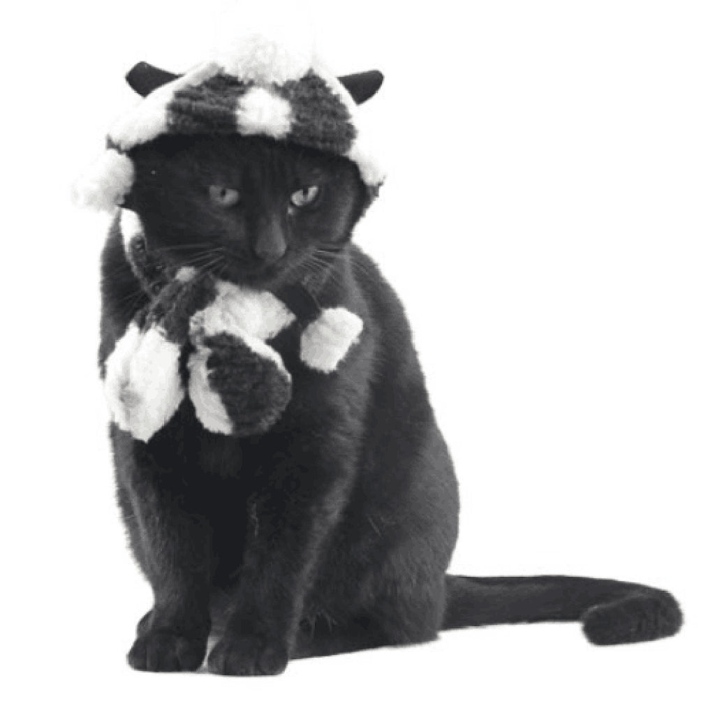 2PCS Pet Cat Dog Hat + Scarf Christmas Xmas Holiday Costume Apparel  Black S