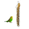 Portable Spiral Steel Feeder Bird Parrot Food Fruit, Ear of Rice Holder Toy