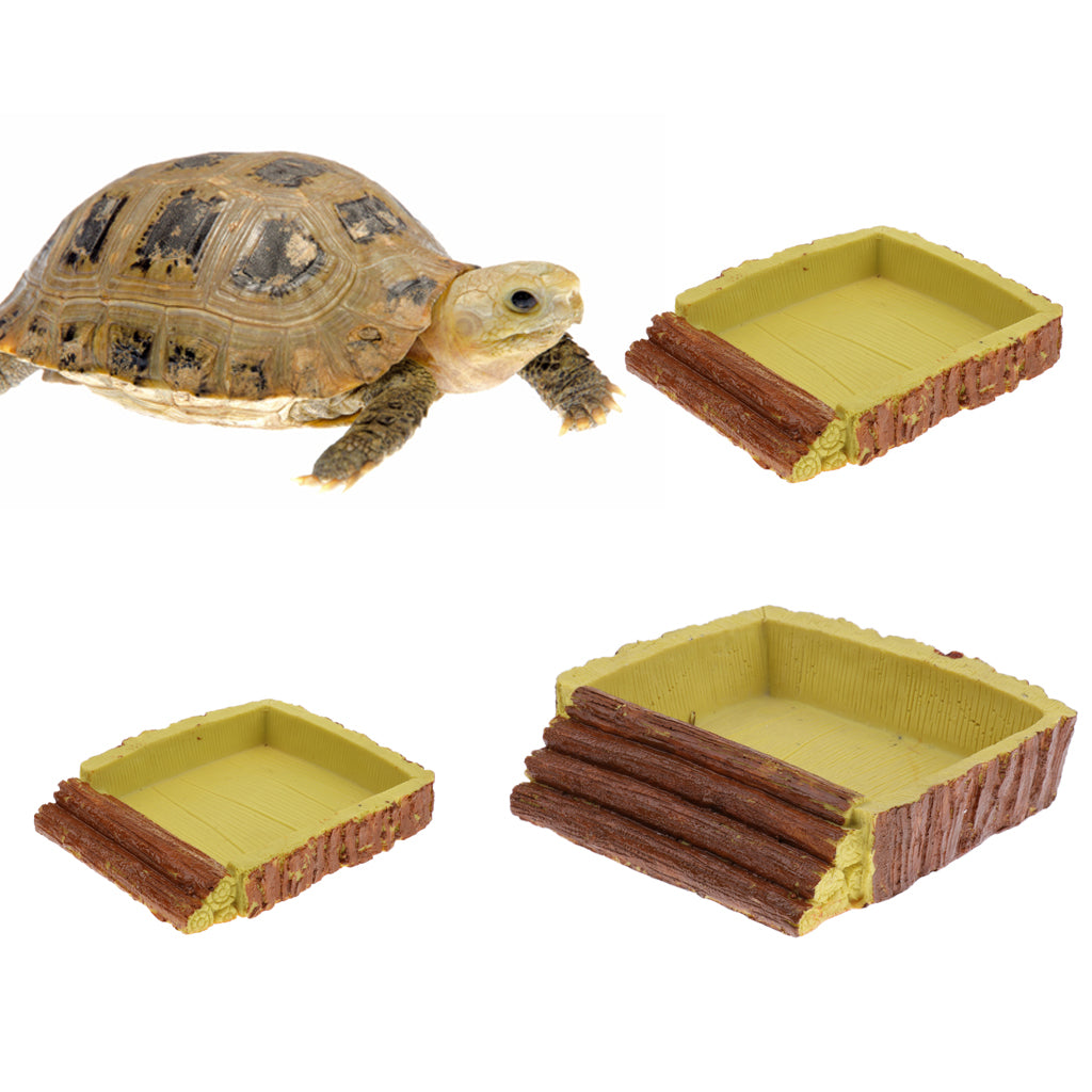 Tortoise Basin Reptile Food Water Dish Feeding Bowl Small square basin