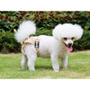 Reusable Dog Underwear Diaper Adjustable Sanitary Panties for Female L Beige