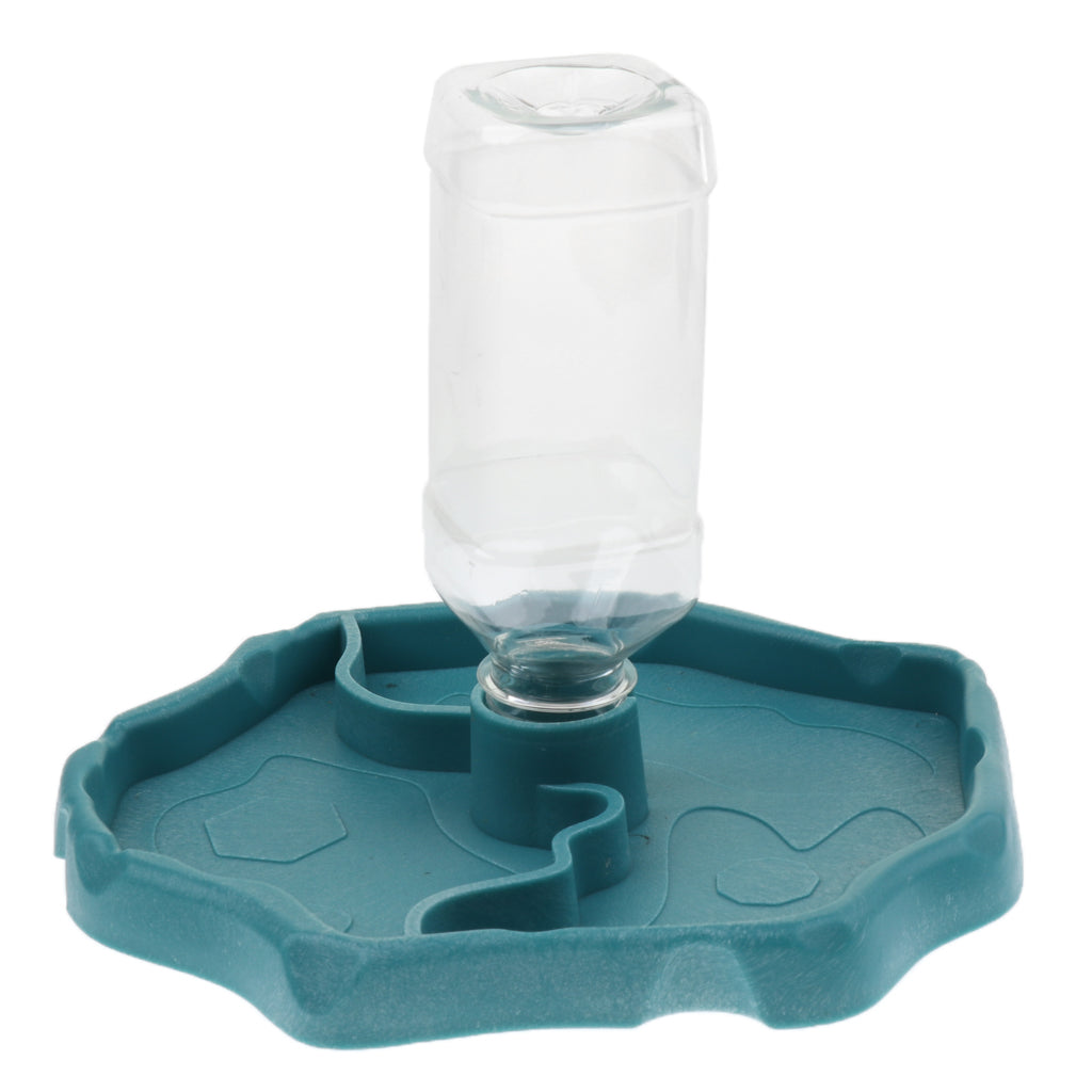 Automatic Reptile Tortoise Gecko Feeding Bowl Water Resin Dish Acid Blue