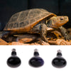 Reptile Moonlight Bulb E27 Screw Fit Night Black Light Heat Snake Gecko 25W