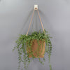 Hanging Kraft Paper Plant Pot Basket Planter Flower Pot Square 13cm