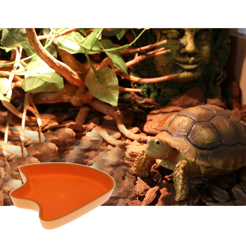 Reptile Food and Water Dish Mini Corner Feeding Bowl Big Duck Footprint