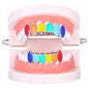 Colorful Glossy Hip Hop Sharp Teeth Grills Hollowen Accessory 18K White Gold