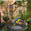 Pet Bird Parrot Canary Toy Wooden Ladder Bridge Swings Hanging Ladders M