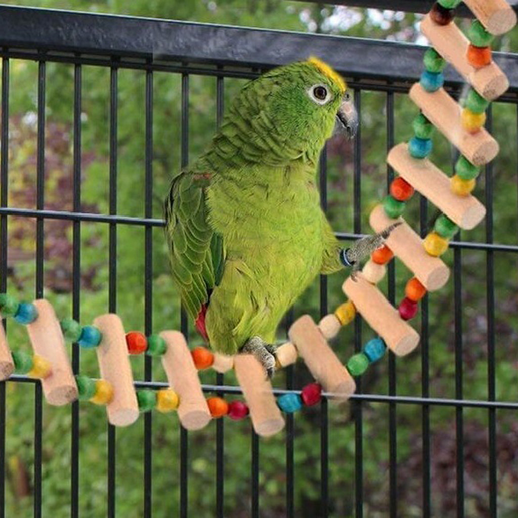 Pet Bird Parrot Canary Toy Wooden Ladder Bridge Swings Hanging Ladders M