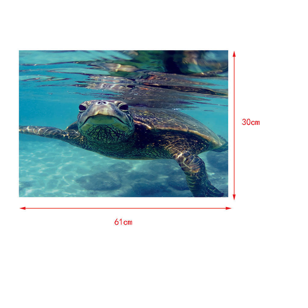 Aquarium Single-sided Adhesive Poster Background Sticker Turtle 61x30cm