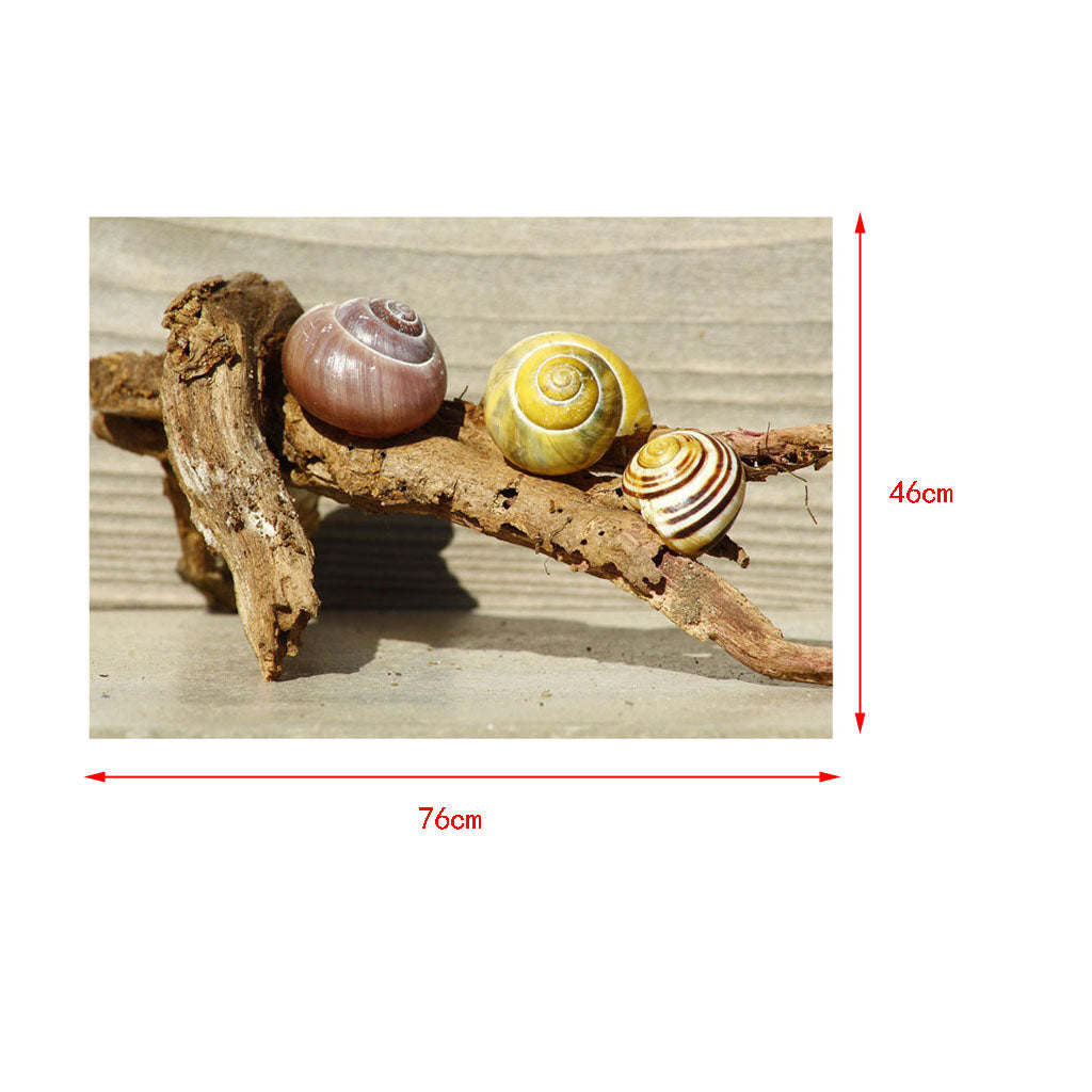 Aquarium Single-sided Adhesive Poster Background Sticker Escargots 76x46cm