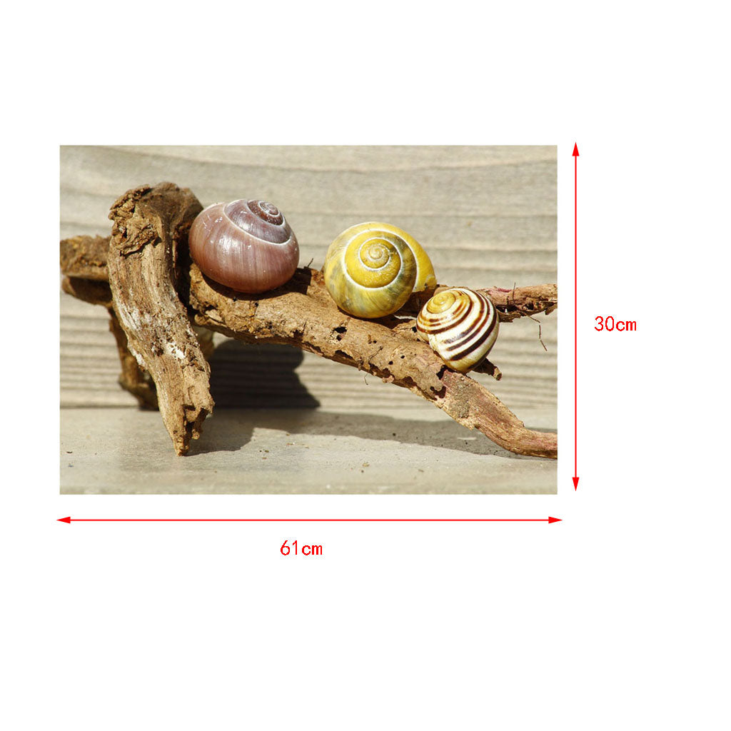 Aquarium Single-sided Adhesive Poster Background Sticker Escargots 61x30cm