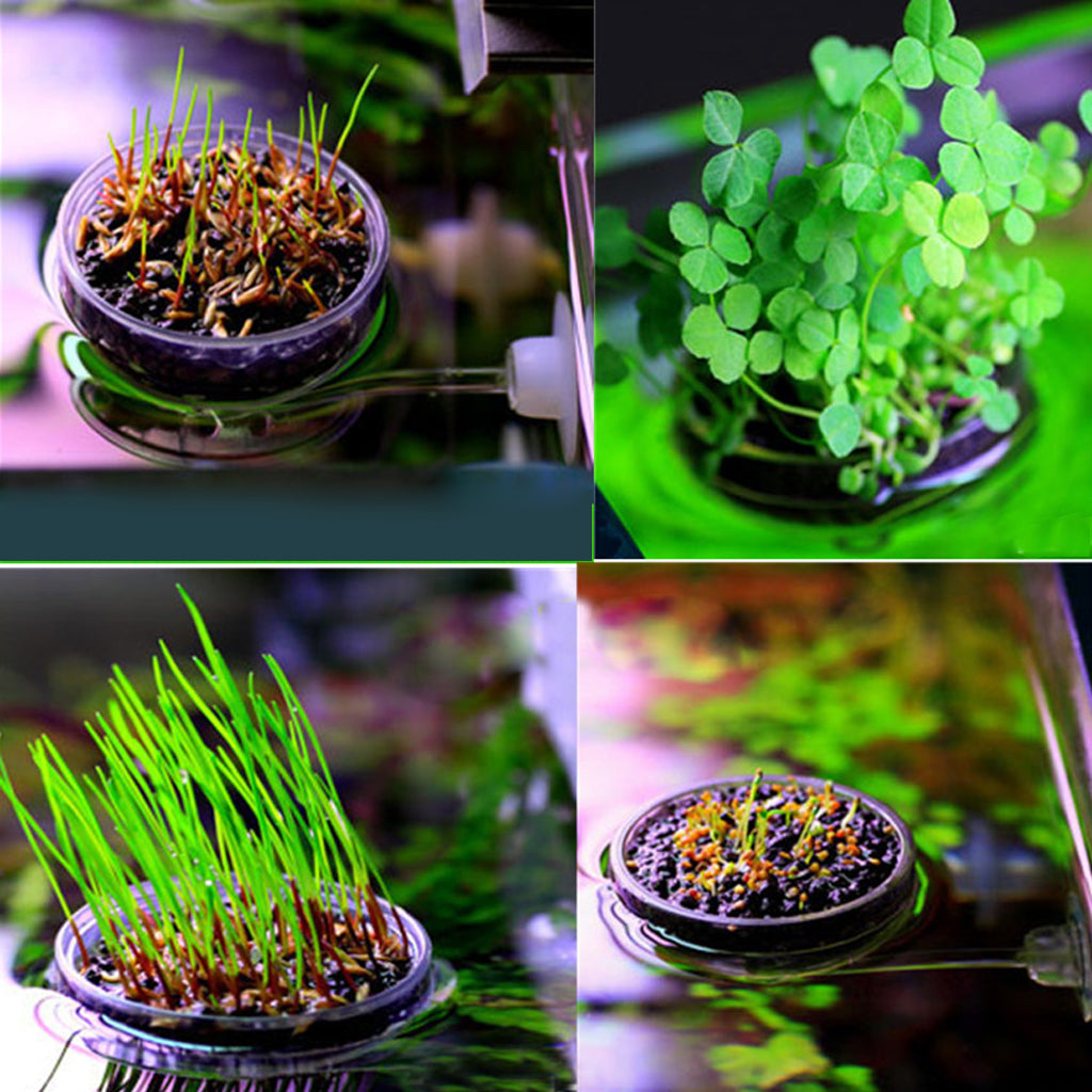 Fish Tank Plant Growing Pot Bowl Holder Mini Seeds with Sucker Round Leaf